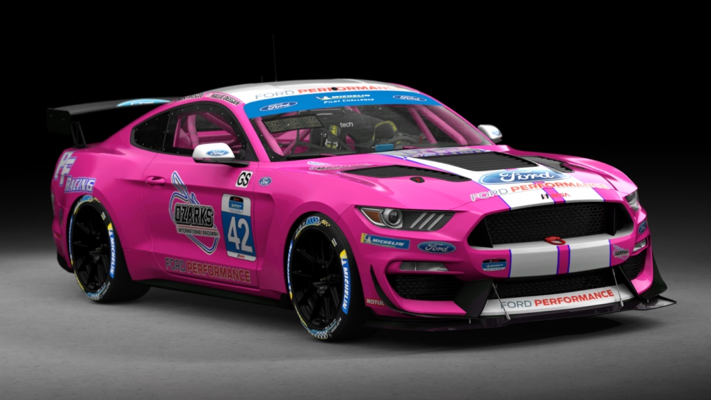 Ford Mustang GT4, skin 2022_PF_Racing_42