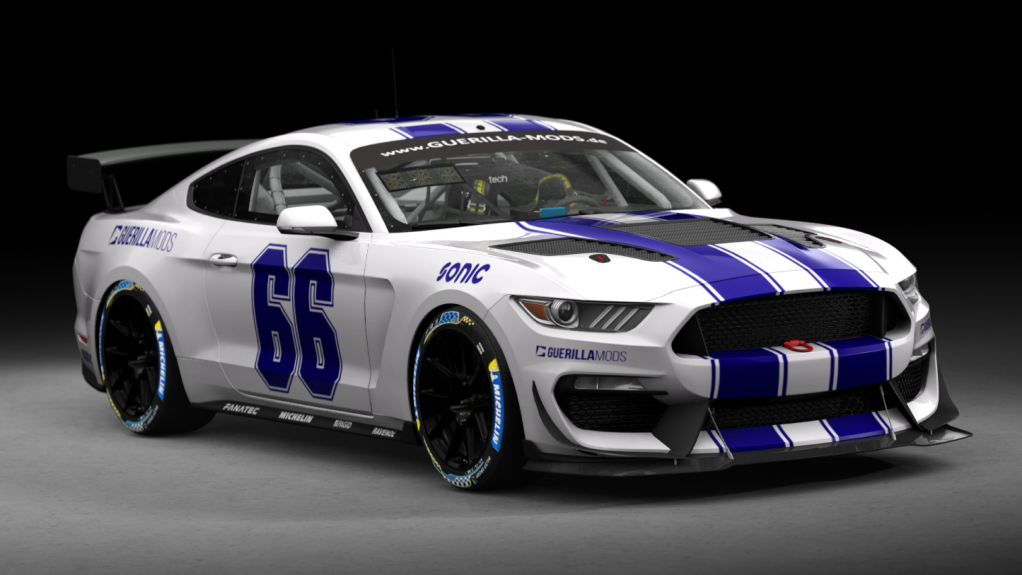 Ford Mustang GT4, skin 66_guerilla_racing